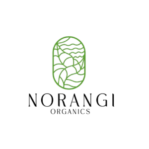 NORANGI_FOODS-removebg-preview